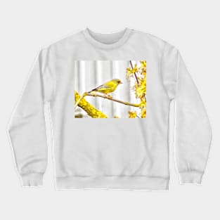 Yellow bird Crewneck Sweatshirt